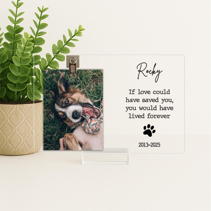 Pet Memorial Frame, Pet Memorial Gift Plaque, Dog or Cat Loss Sympathy Keepsake, Pet Bereavement Gift, Custom Acrylic Photo Gift - MemorialGiftsandmore -