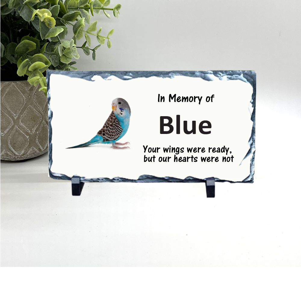 Parakeet Memorial Stone- Choice of Parakeet Color