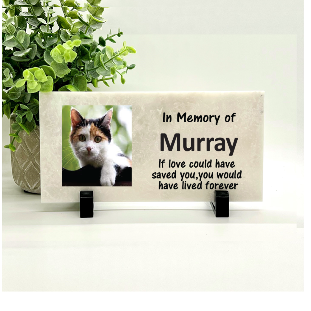 Cat Photo Memorial Stone - Personalized with your photo