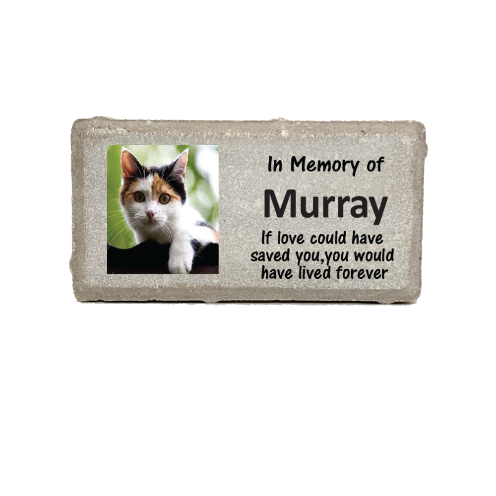 Cat Photo Memorial Stone - Personalized with your photo