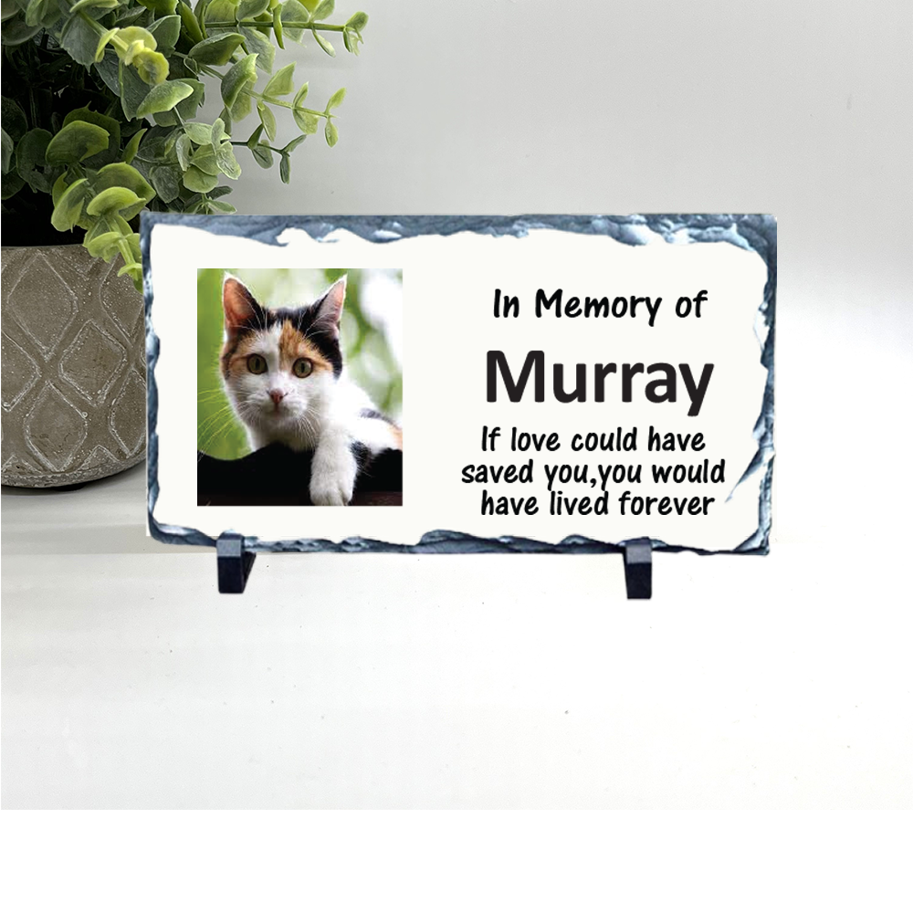 Cat Photo Memorial Stone - Personalized with your photo