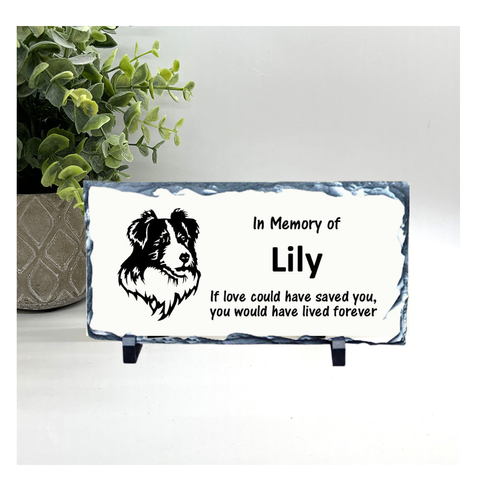 Border Collie Memorial Stone - Personalized Dog Sympathy Gift