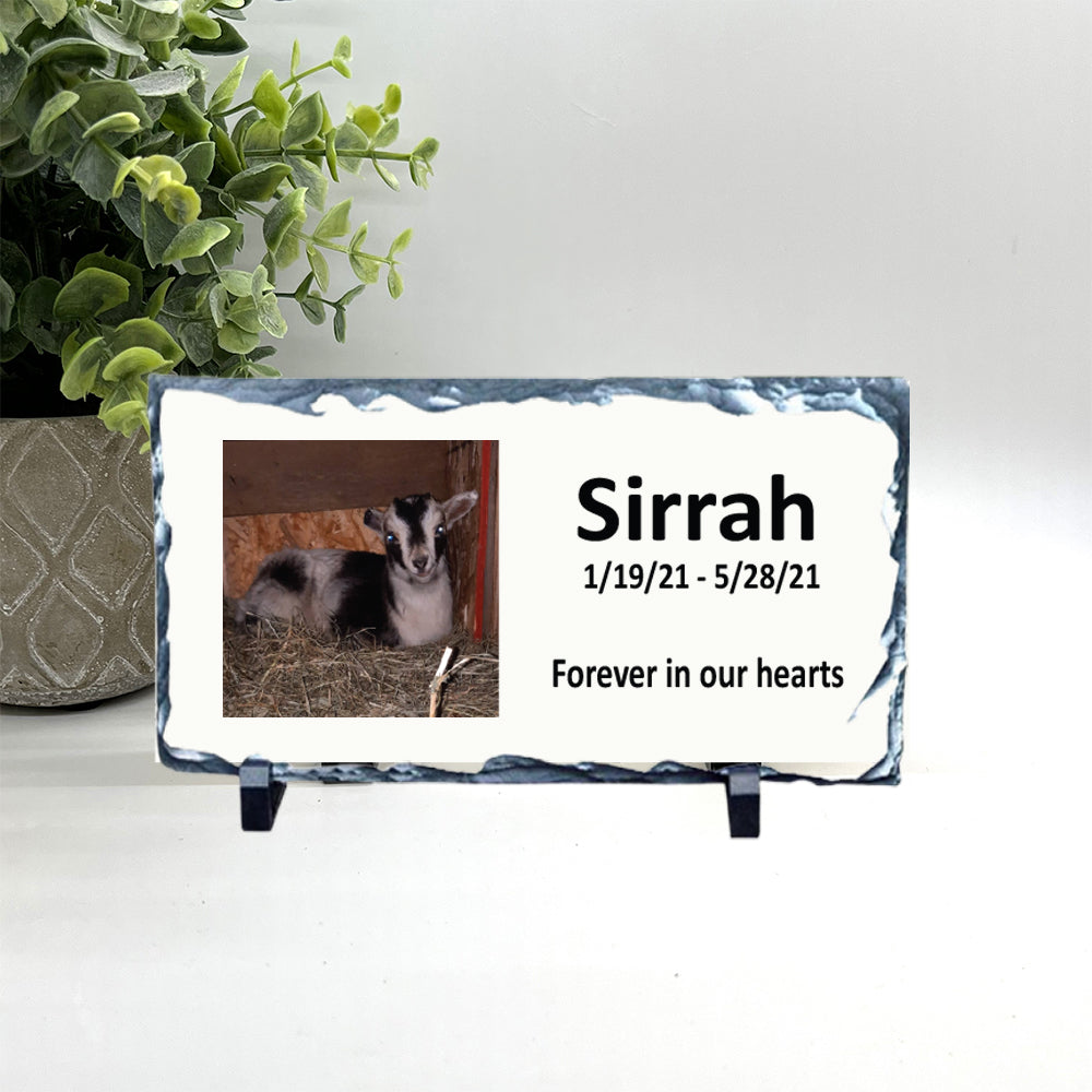 Goat Memorial Stone - Personalized with your photo and custom saying