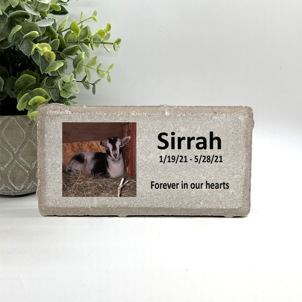 Goat Memorial Stone - Personalized with your photo and custom saying