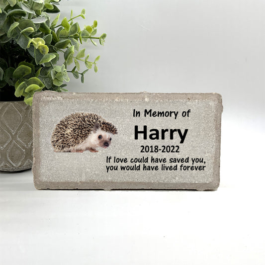 Hedgehog Memorial Stone - Personalized Pet Keepsake - Loss of Hedgehog Sympathy Gift - Pet Loss Gifts - Hedgehog Condolence Gift - Pet Burial