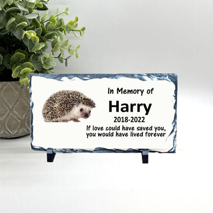 Hedgehog Memorial Stone - Personalized Pet Keepsake - Loss of Hedgehog Sympathy Gift - Pet Loss Gifts - Hedgehog Condolence Gift - Pet Burial