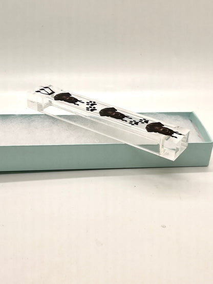 Personalized Mezuzah with your Pets' Photo - Acrylic Mezuzah - Custom Mezuzah - Personalized Judaica Gift -Pet Image Mezuzah - Dog Mezuzah