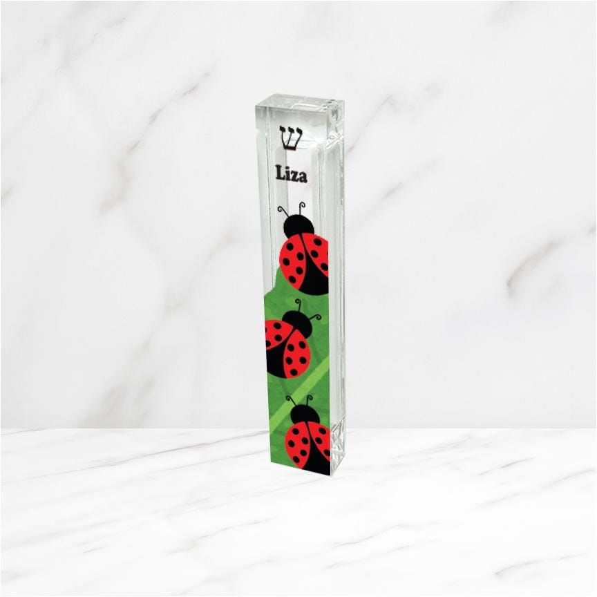 Ladybug Mezuzah - Acrylic Mezuzah - Modern Mezuzah - Personalized Judaica Gift - New Baby Gift - New Home Gift - Ladybugs on leaf