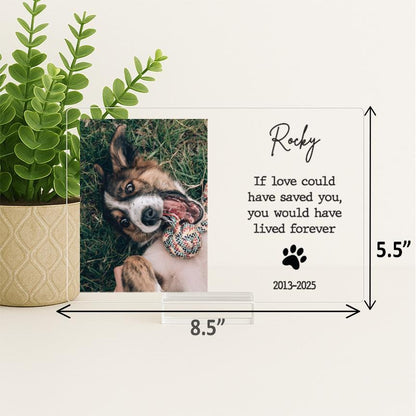 Pet Memorial Frame, Pet Memorial Gift Plaque, Dog or Cat Loss Sympathy Keepsake, Pet Bereavement Gift, Custom Acrylic Photo Gift - MemorialGiftsandmore - 