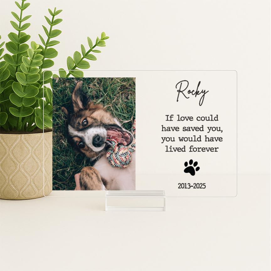 Pet Memorial Frame, Pet Memorial Gift Plaque, Dog or Cat Loss Sympathy Keepsake, Pet Bereavement Gift, Custom Acrylic Photo Gift - MemorialGiftsandmore - 
