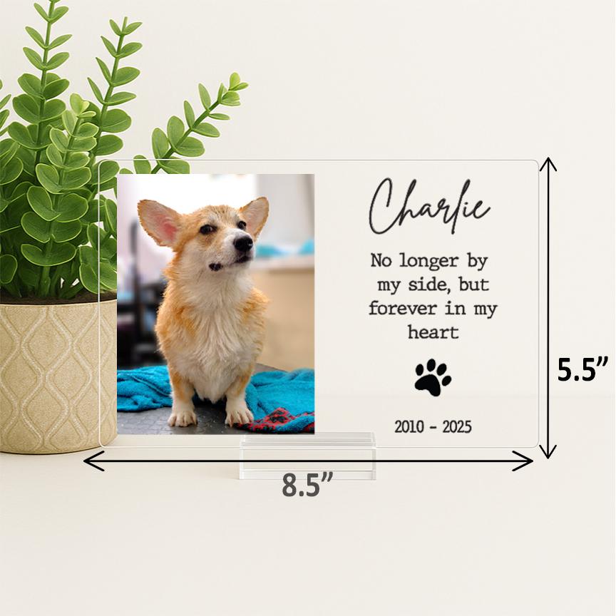 Pet Memorial Frame, Pet Memorial Gift Plaque, Dog or Cat Loss Sympathy Keepsake, Pet Bereavement Gift, Custom Acrylic Photo Gift - MemorialGiftsandmore - 
