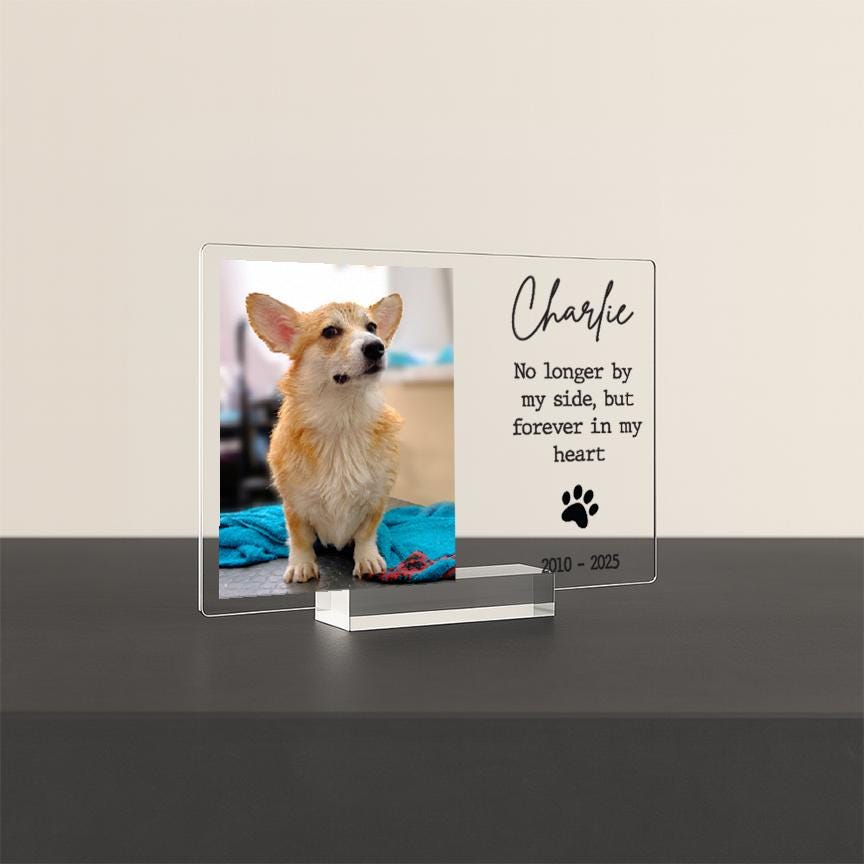 Pet Memorial Frame, Pet Memorial Gift Plaque, Dog or Cat Loss Sympathy Keepsake, Pet Bereavement Gift, Custom Acrylic Photo Gift - MemorialGiftsandmore - 