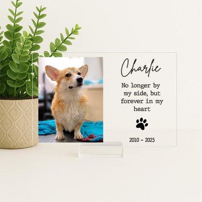 Pet Memorial Frame, Pet Memorial Gift Plaque, Dog or Cat Loss Sympathy Keepsake, Pet Bereavement Gift, Custom Acrylic Photo Gift - MemorialGiftsandmore - 