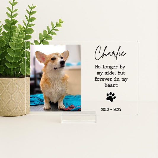 Pet Memorial Frame, Pet Memorial Gift Plaque, Dog or Cat Loss Sympathy Keepsake, Pet Bereavement Gift, Custom Acrylic Photo Gift - MemorialGiftsandmore - 