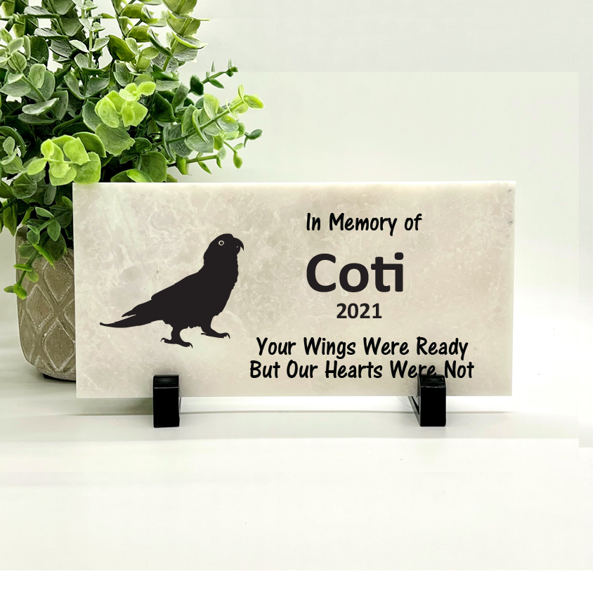 Sun Conure Memorial Stone- Your Wings We Ready But Our Hearts Were Not