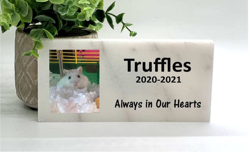 Hamster Memorial Stone- Photo Memorial