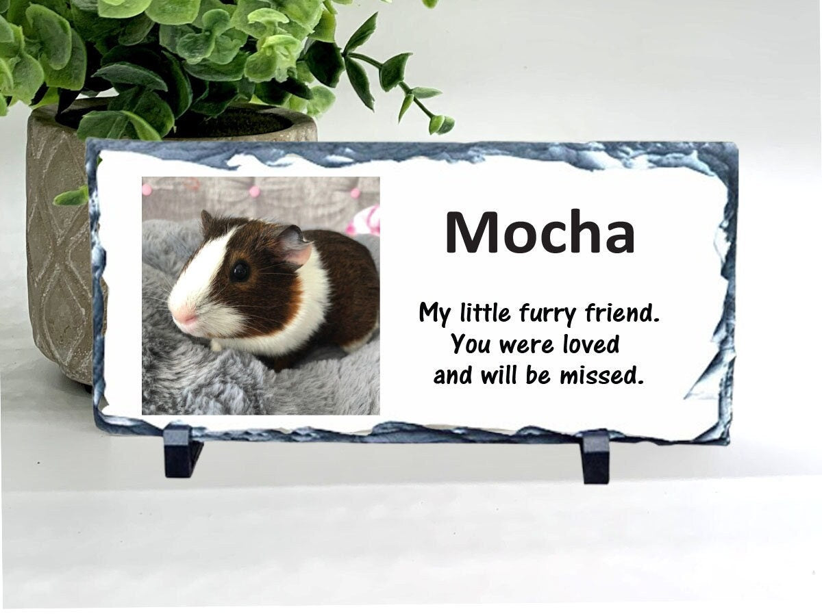 Hamster Memorial Stone- Photo Memorial