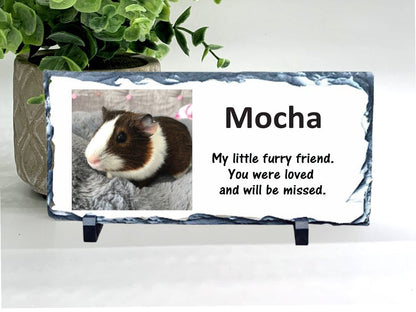 Hamster Memorial Stone- Photo Memorial