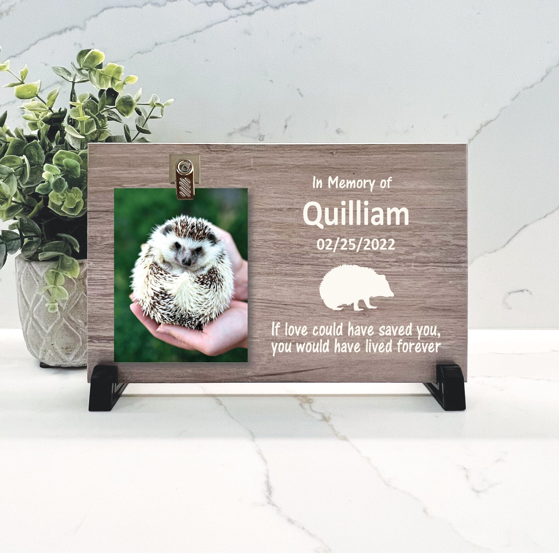 Hedgehog Memorial Gift, Hedgehog Memorial Frame, Hedgehog Photo Memorial, Hedgehog Keepsake, Hedgehog Remembrance Gift, Wood Memorial Frame