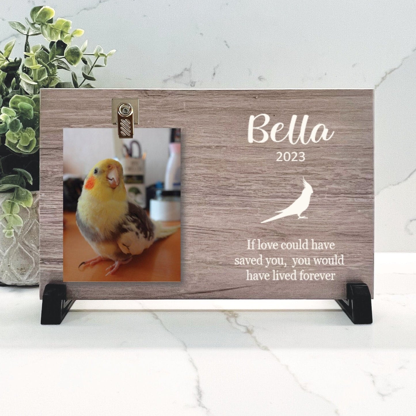 Cockatiel Memorial Gift, Cockatiel Memorial Frame, Cockatiel Photo Memorial, Cockatiel Loss Gift, Cockatiel Keepsake, Remembrance Gift