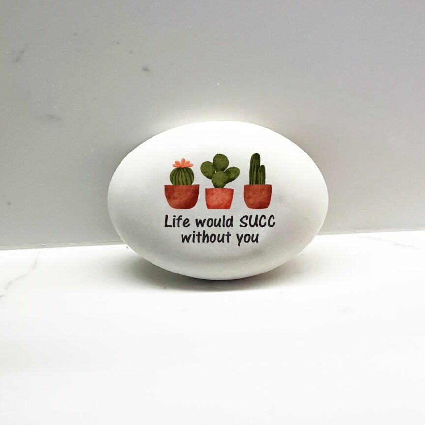 Life would SUCC without you, Cutom stone for indoors or outdoors, Gift for special friend, Unique gift idea - custom rock - succulents